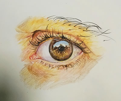۾ֻ̳