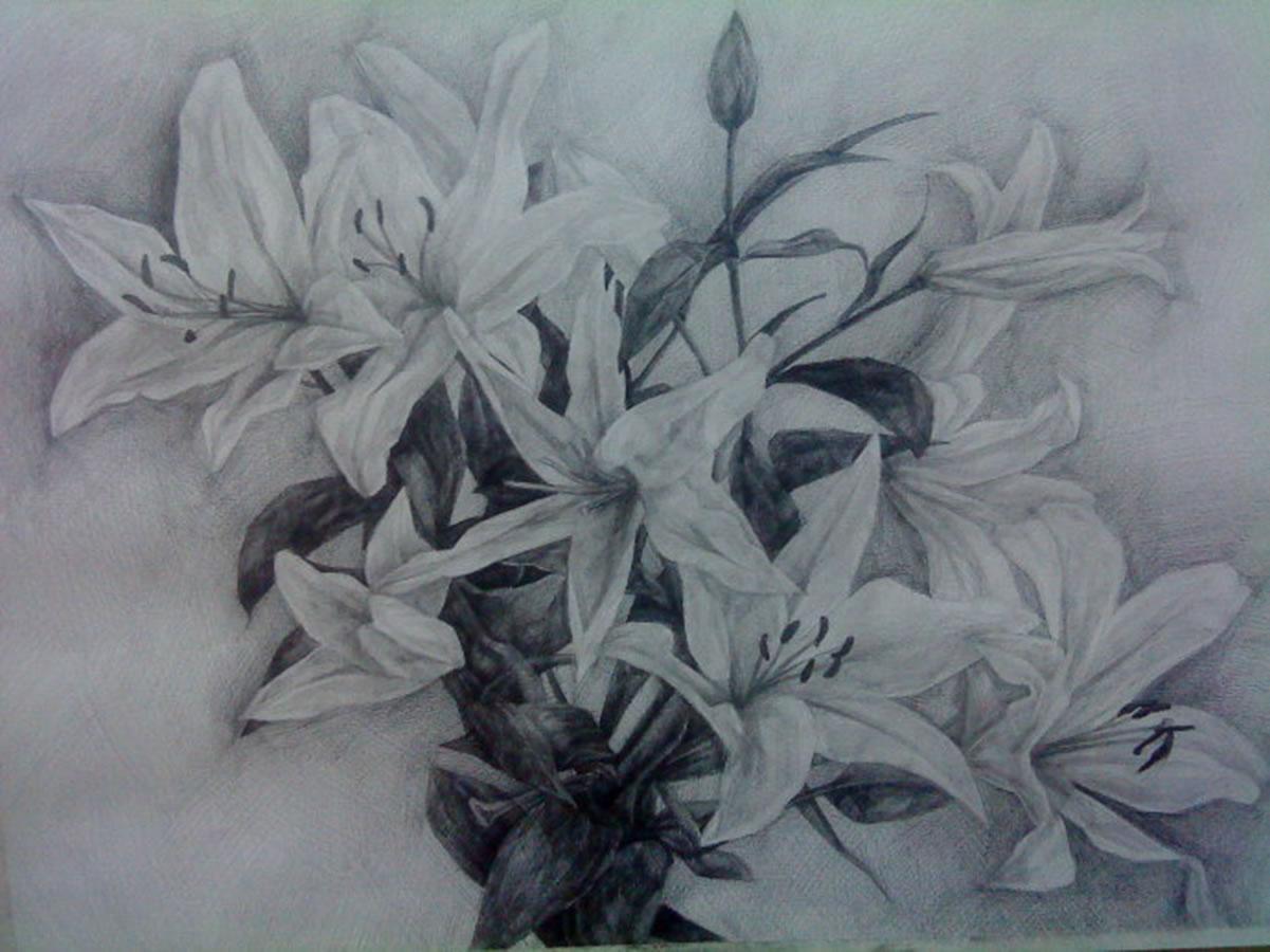 画室开设素描静物公开课,杨老师的